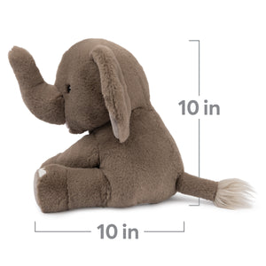 Chai the Elephant, 10 in