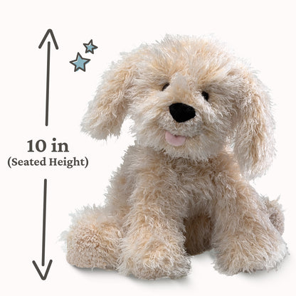 Karina Labradoodle, 10.5 in