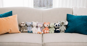 Lil’ Luvs Collection: Shay the Koala Bear, 12 in