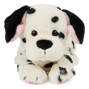 Checkers Dalmatian, 14 in