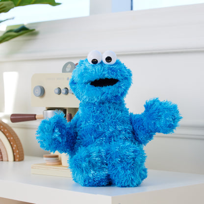 Sesame Street: Cookie Monster, 12 in