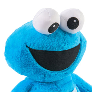 Oh So Snuggly Cookie Monster, 12.5 in