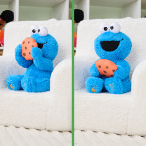 Peek-a-Boo Cookie Monster, 11 in