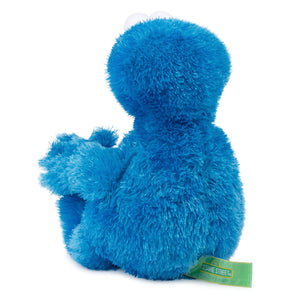 Sesame Street: Cookie Monster, 12 in
