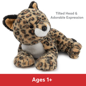 Banks the Leopard, 12 in