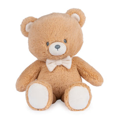 Gund 100th Anniversary of the Teddy Bear 1902-2002 Wish Bear