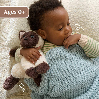 Bootsie Siamese Kitten, 9 in