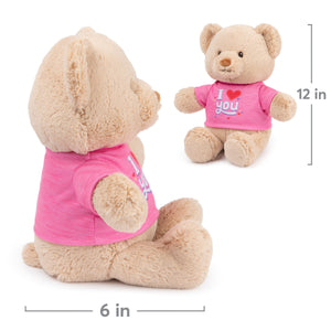 "I Love You" Bear, Pink, 12 in