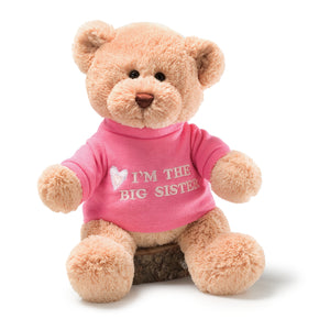 “I’m the Big Sister” Bear, Pink, 12 in