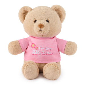 "I'm the Big Sister" Bear, Pink, 12 in