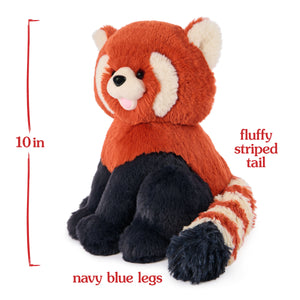 Cedar Red Panda, 10 in