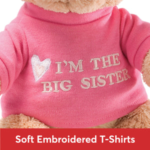 “I’m the Big Sister” Bear, Pink, 12 in