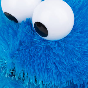 Sesame Street: Cookie Monster, 12 in