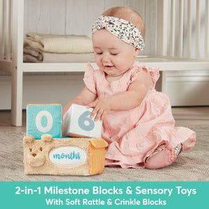 Milestones & Moments Soft Block Set