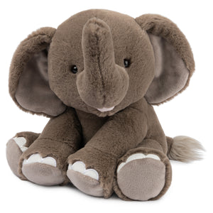 Chai the Elephant, 10 in