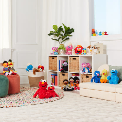 Sesame Street: Cookie Monster, 12 in