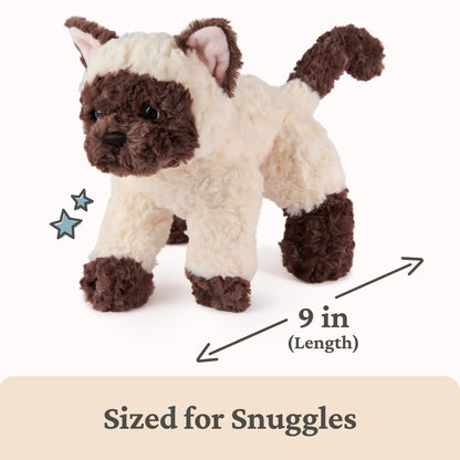 Bootsie Siamese Kitten, 9 in