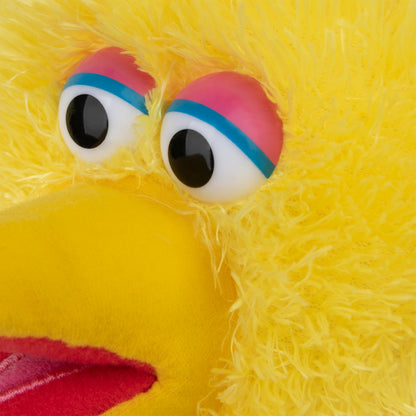 Big Bird, 14 in