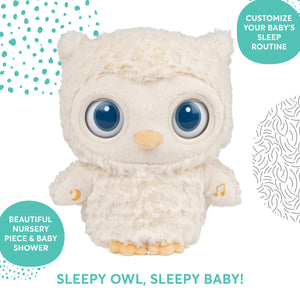 Sleepy Eyes® Owl Bedtime Soother, 8 in