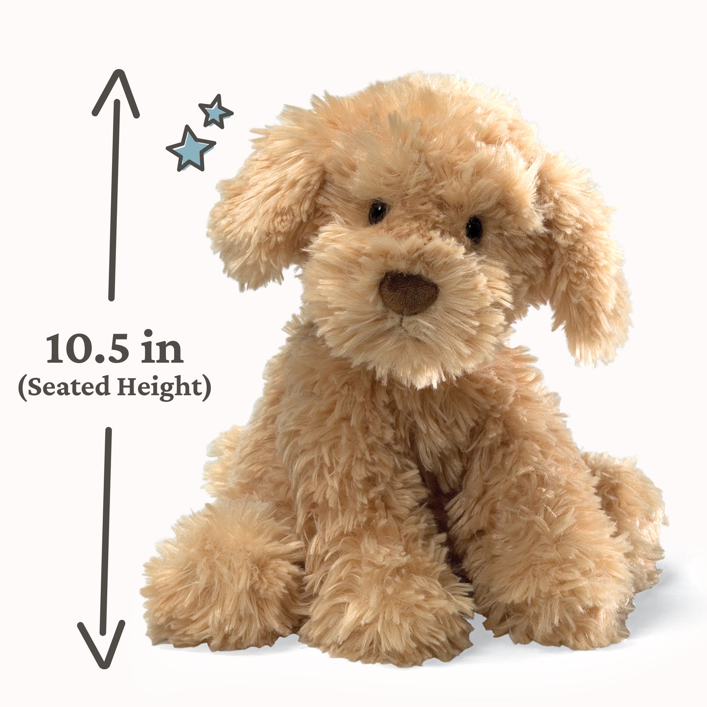 Nayla Cockapoo, 10.5 in