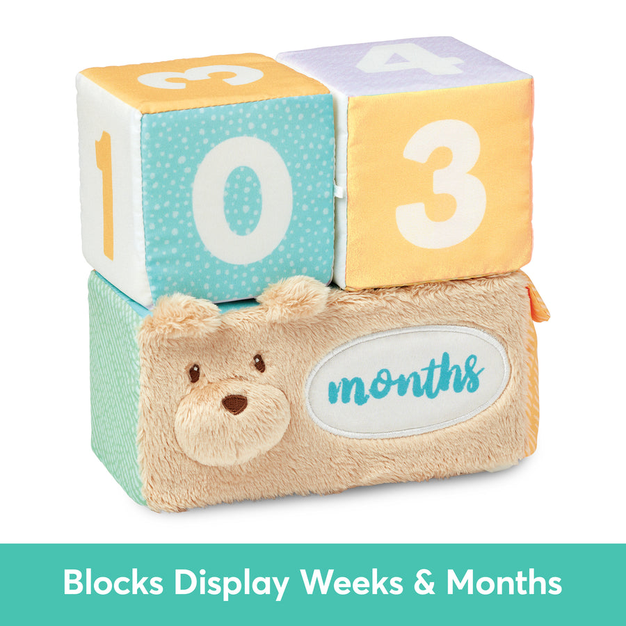 Milestones & Moments Soft Block Set