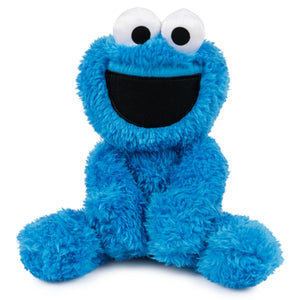 Cookie Monster Take Along Buddy, 13 in