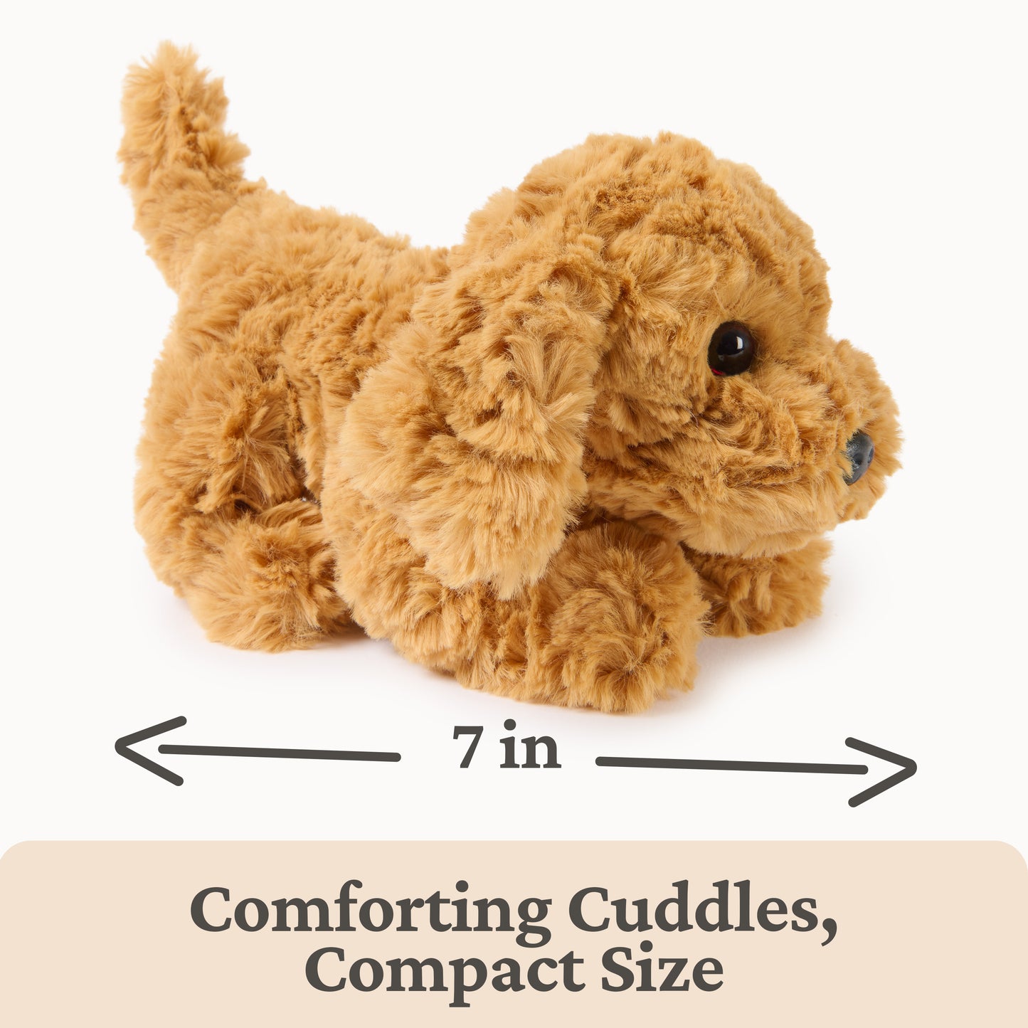 7 in Littles: Muttsy