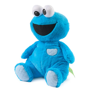 Oh So Snuggly Cookie Monster, 12.5 in