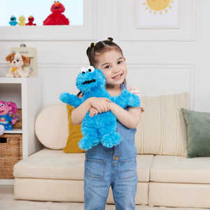 Sesame Street: Cookie Monster, 12 in