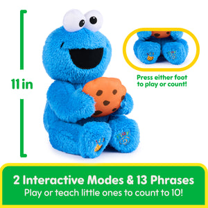 Peek-a-Boo Cookie Monster, 11 in