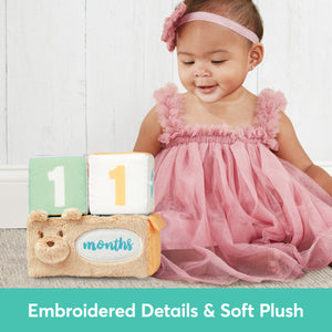 Milestones & Moments Soft Block Set