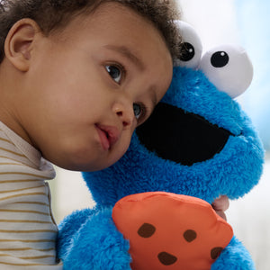 Peek-a-Boo Cookie Monster, 11 in