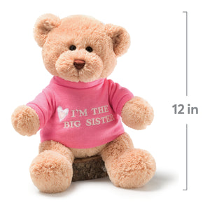“I’m the Big Sister” Bear, Pink, 12 in