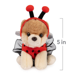 Itty Bitty Boo™ Ladybug, 5 in