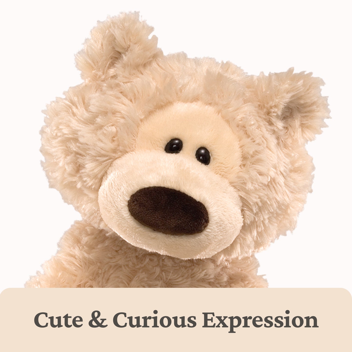 Philbin Bear, Beige, 12 in